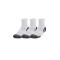 UNDER ARMOUR UA PERFORMANCE TECH 3PK QTR 1379510-100