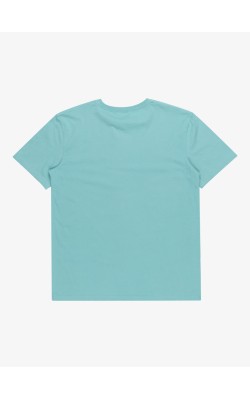 QUIKSILVER MW MINI LOGO SS EQYZT07657-BHA0