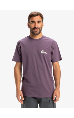 QUIKSILVER EV MINI LOGO SS EQYZT08042-PQC0