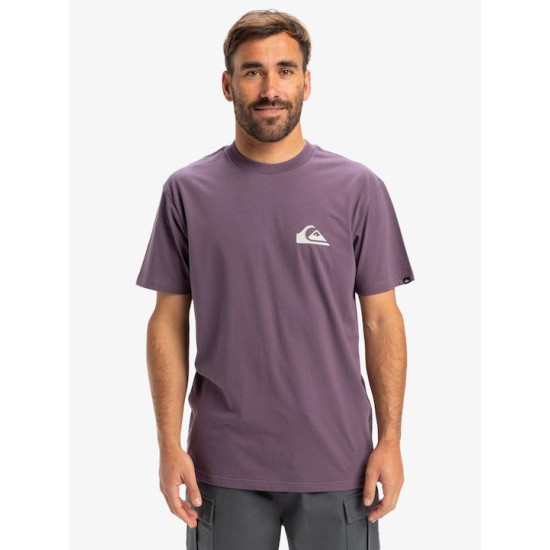 QUIKSILVER EV MINI LOGO SS EQYZT08042-PQC0 QUIKSILVER EV MINI LOGO SS EQYZT08042-PQC0