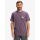 QUIKSILVER EV MINI LOGO SS EQYZT08042-PQC0 QUIKSILVER EV MINI LOGO SS EQYZT08042-PQC0