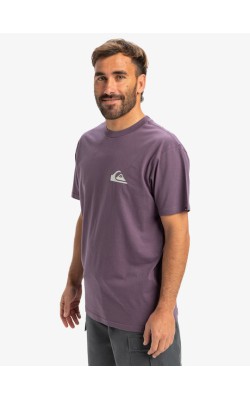 QUIKSILVER EV MINI LOGO SS EQYZT08042-PQC0