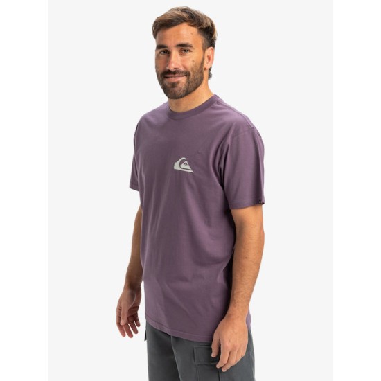 QUIKSILVER EV MINI LOGO SS EQYZT08042-PQC0 QUIKSILVER EV MINI LOGO SS EQYZT08042-PQC0