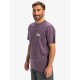 QUIKSILVER EV MINI LOGO SS EQYZT08042-PQC0 QUIKSILVER EV MINI LOGO SS EQYZT08042-PQC0
