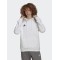 ADIDAS ENT22 HOODY HG6302