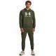 UNDER ARMOUR RIVAL FLEECE LOGO HD 1379758-390