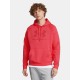 UNDER ARMOUR RIVAL FLEECE LOGO HD 1379758-713