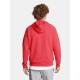 UNDER ARMOUR RIVAL FLEECE LOGO HD 1379758-713