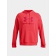 UNDER ARMOUR RIVAL FLEECE LOGO HD 1379758-713