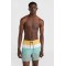 ONEIL MIX & MATCH CALI PRINT 15 SWIM SHORT 2800131-26021