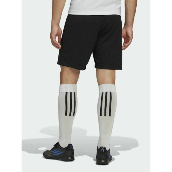 ADIDAS-ENT22 TR SHO ΑΝΔΡΙΚΗ ΒΕΡΜΟΥΔΑ HB0575 ADIDAS-ENT22 TR SHO ΑΝΔΡΙΚΗ ΒΕΡΜΟΥΔΑ HB0575