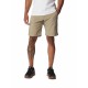 COLUMBIA SILVER RIDGE UTILITY CARGO SHORT 2030744221 COLUMBIA SILVER RIDGE UTILITY CARGO SHORT 2030744221