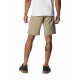 COLUMBIA SILVER RIDGE UTILITY CARGO SHORT 2030744221 COLUMBIA SILVER RIDGE UTILITY CARGO SHORT 2030744221