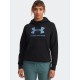 UNDER ARMOUR RIVAL FLC SHIMMER HDY 6003710-007