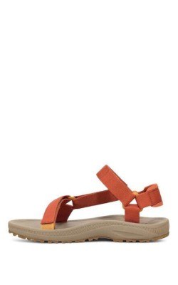TEVA WINSTED 1017424-PCLY