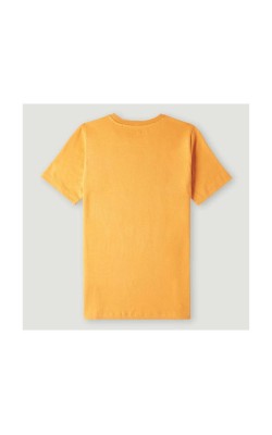 ONEIL WAVE T-SHIRT N4850004-17016